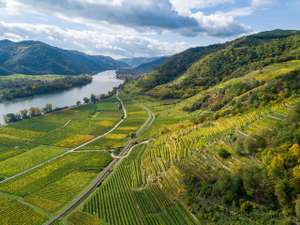 Wachau 34 ID85267