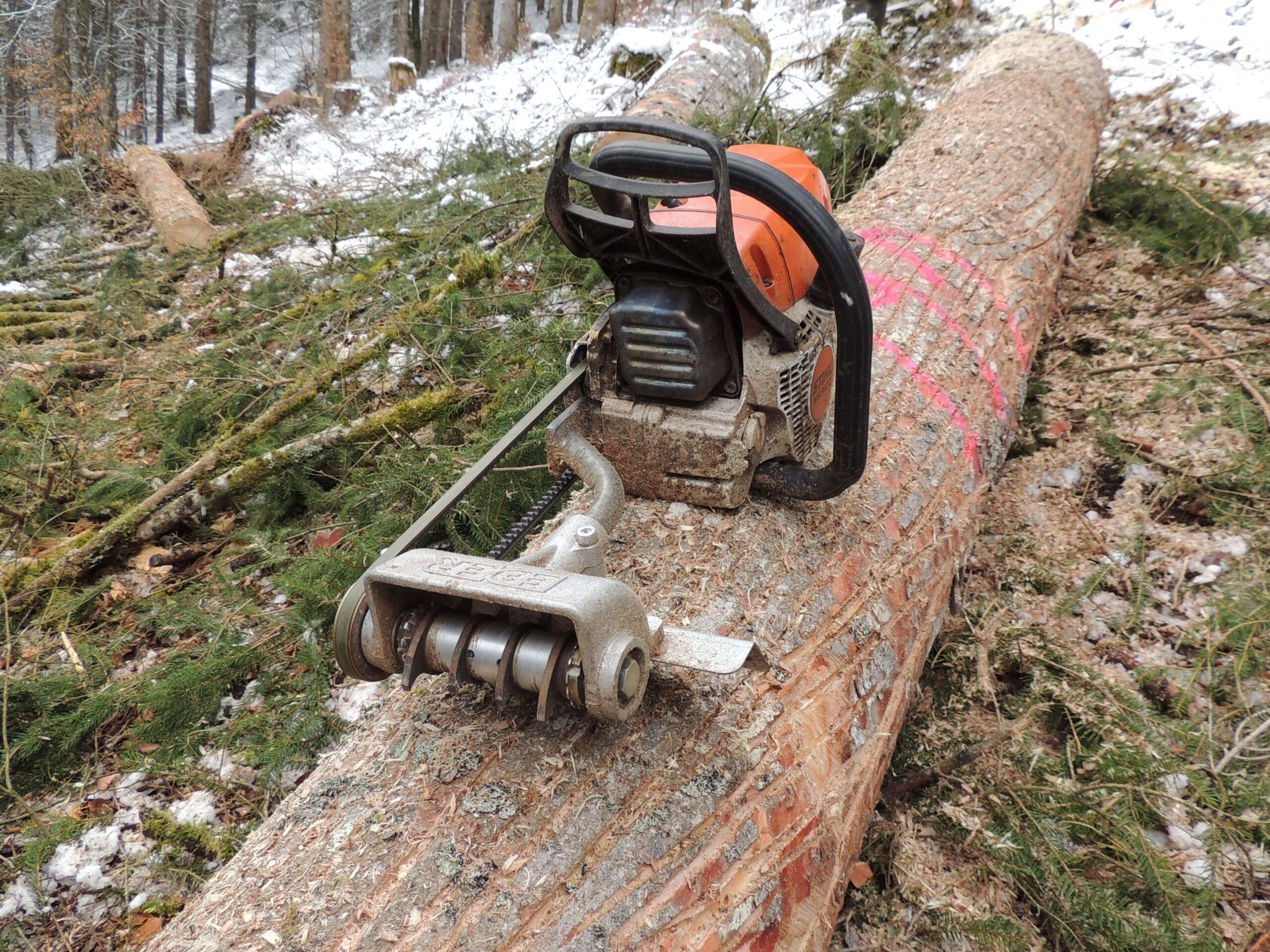 NP Kalkalpen Rindenritzen