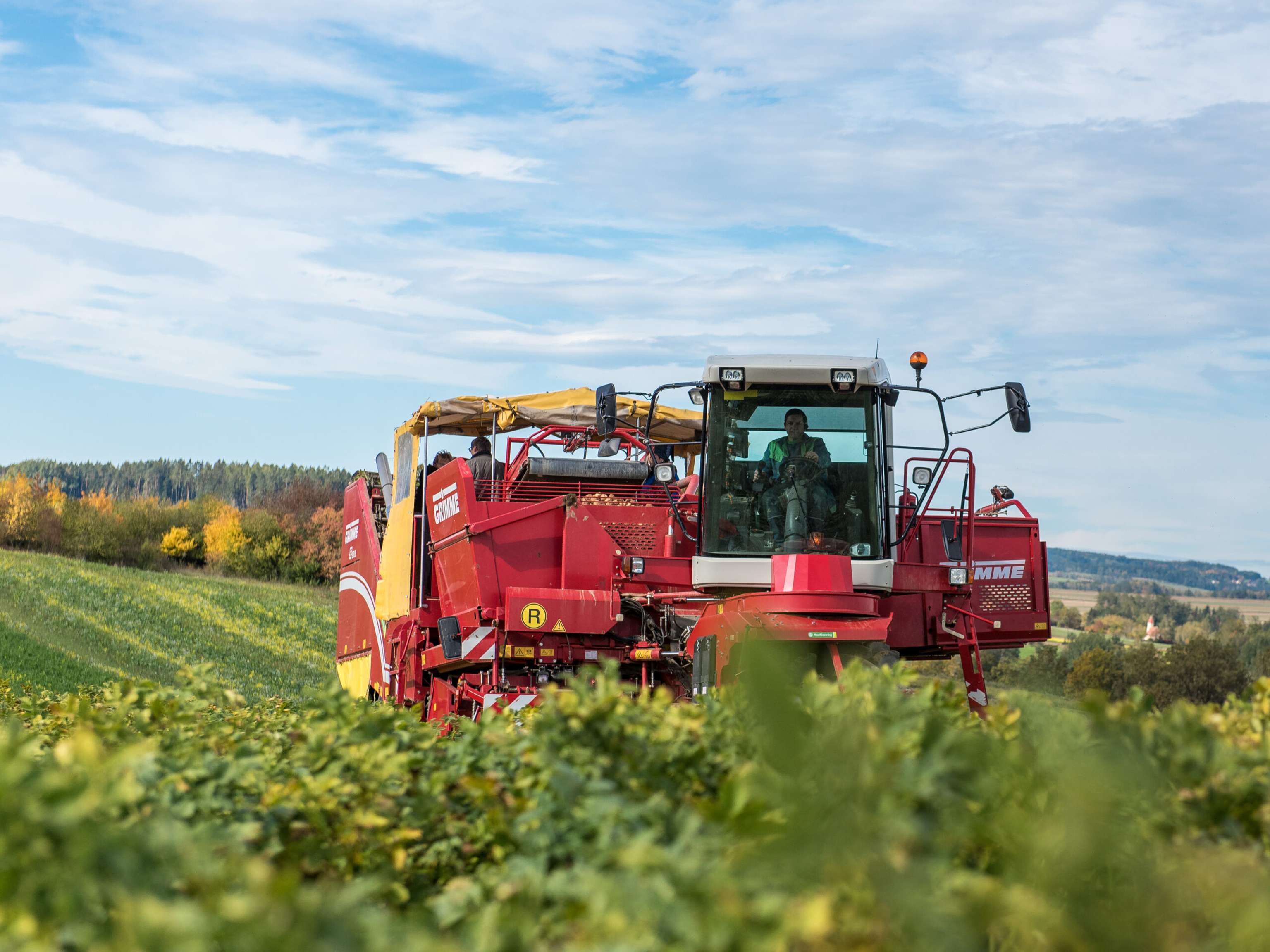 Industriekartoffel Ernte 35 ID85130