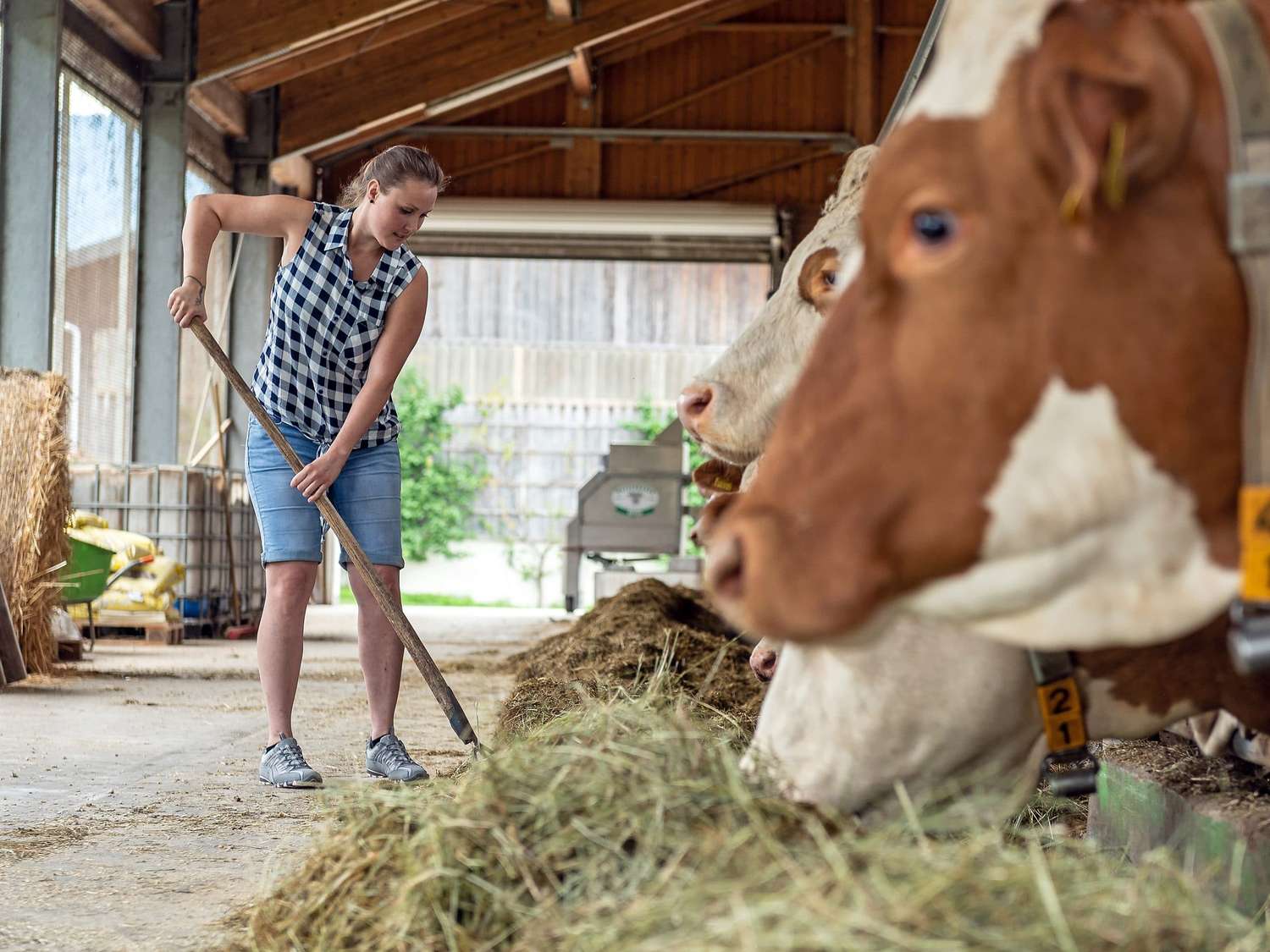 Baeuerin Stallarbeit 55 ID87462