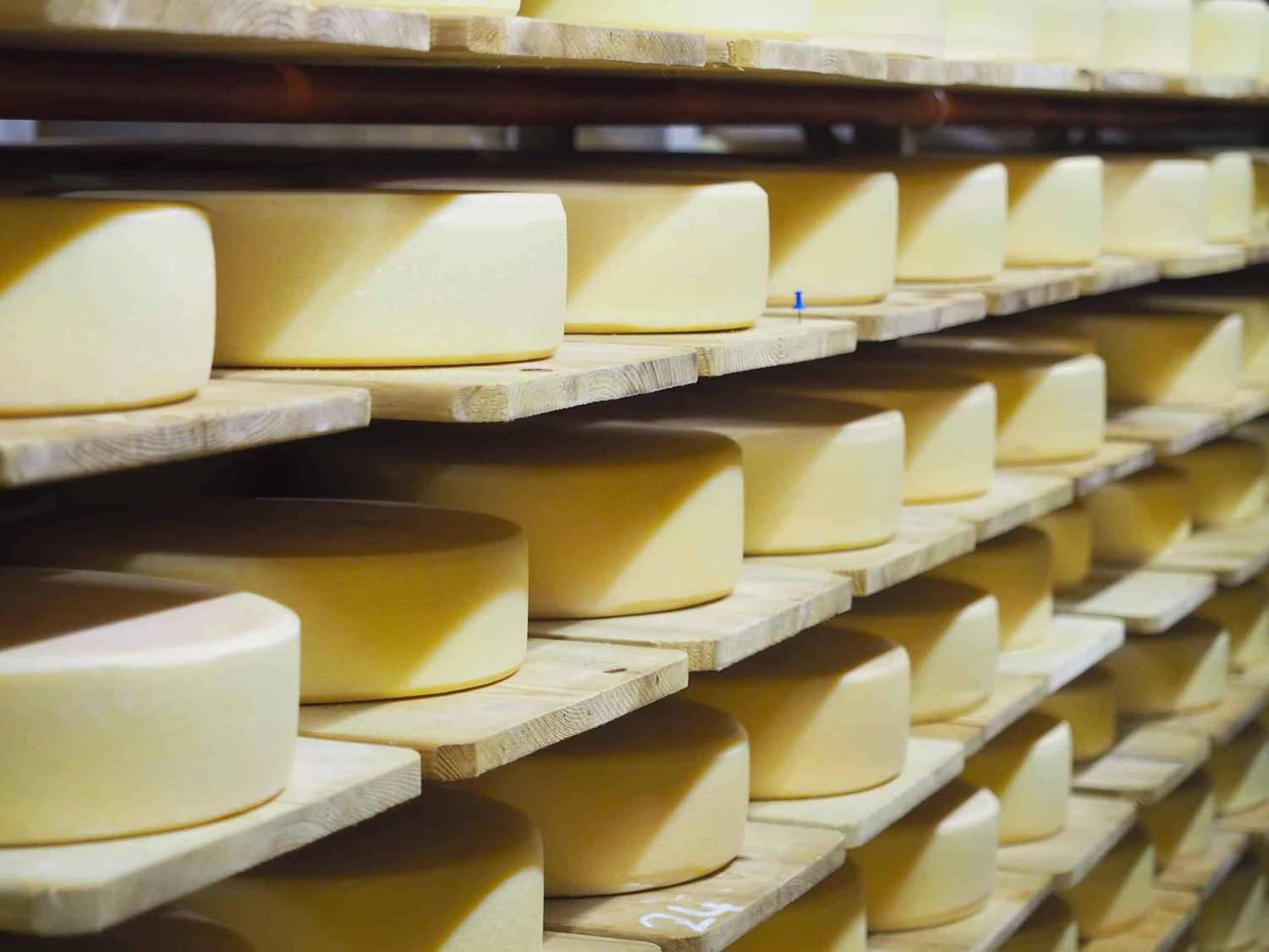 Käse im Reiferaum