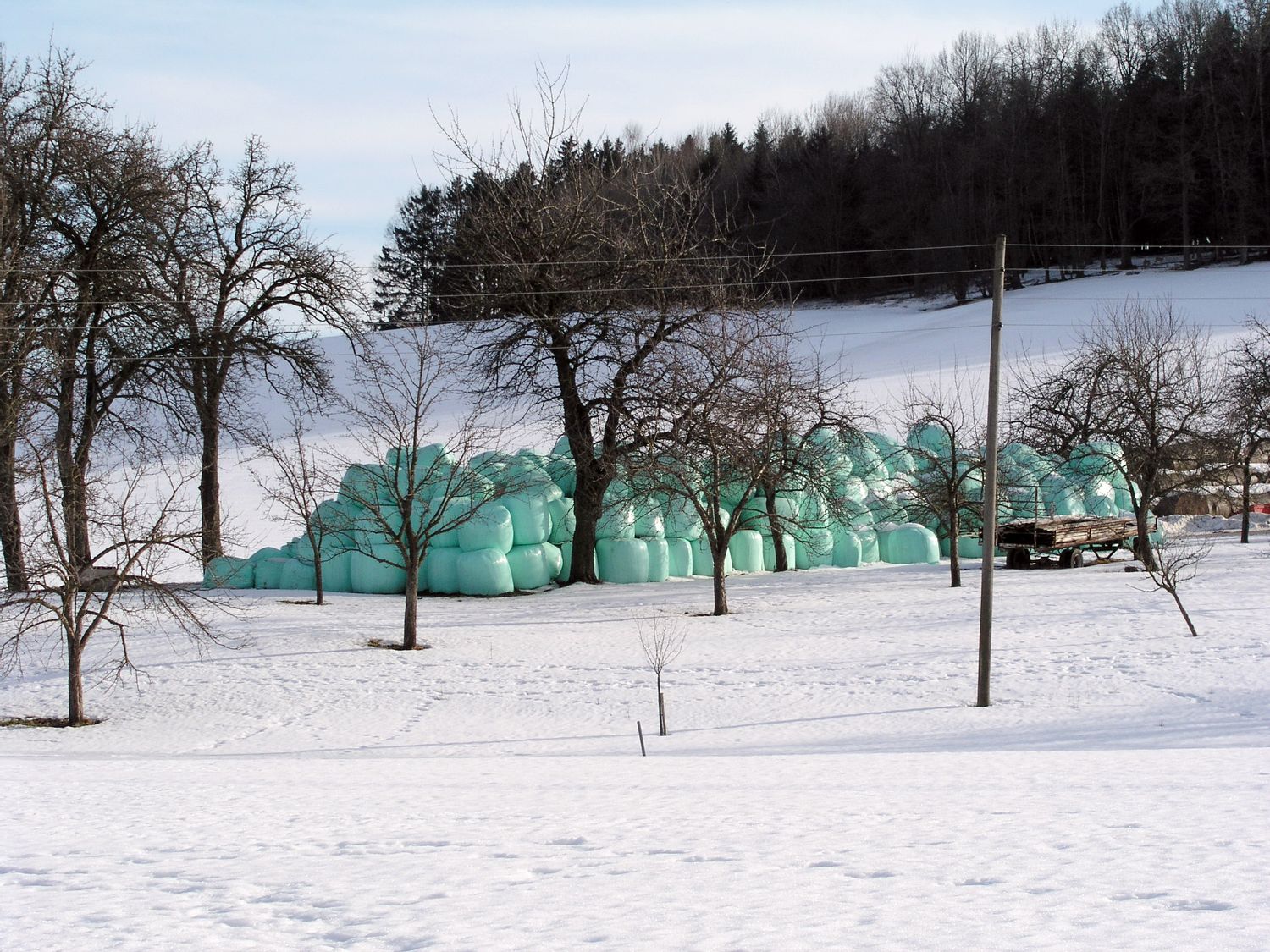 Immer wieder kommt es zu schweren Unfällen im Zusammenhang mit Siloballen. Dabei stellt sich oft die Frage nach einer möglichen Haftung.