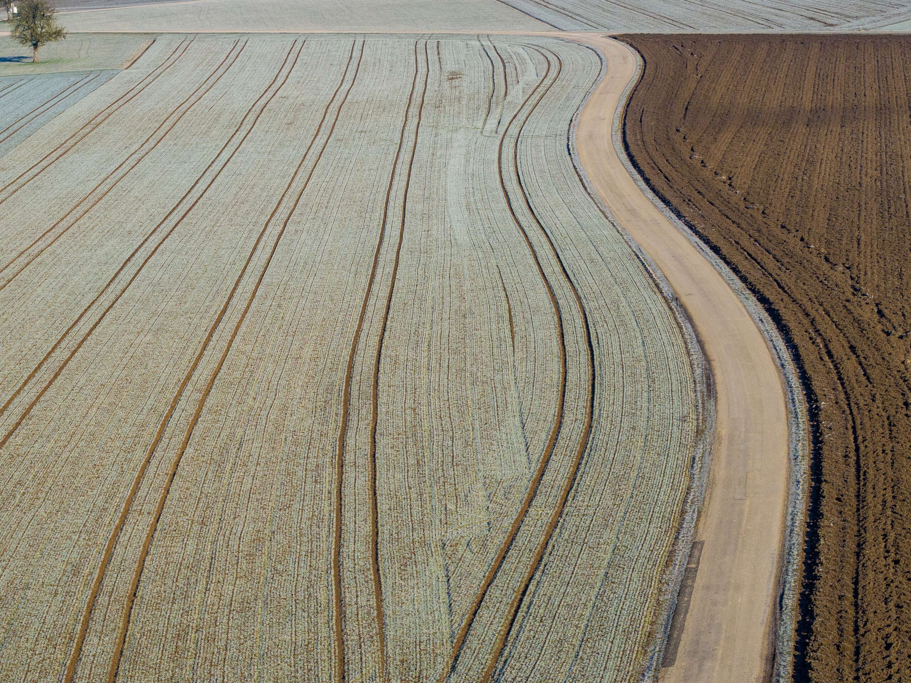 Kalter Maerzmorgen 2 ID94922