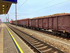 Zuckerrübentransport