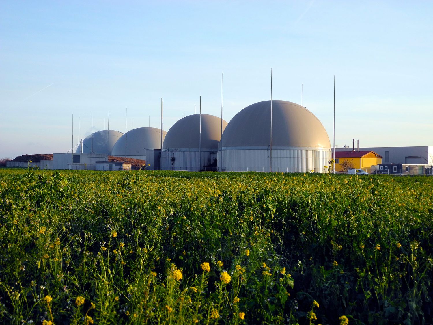 Austria, agricultural biogas plant and rape field in Lower Austria
