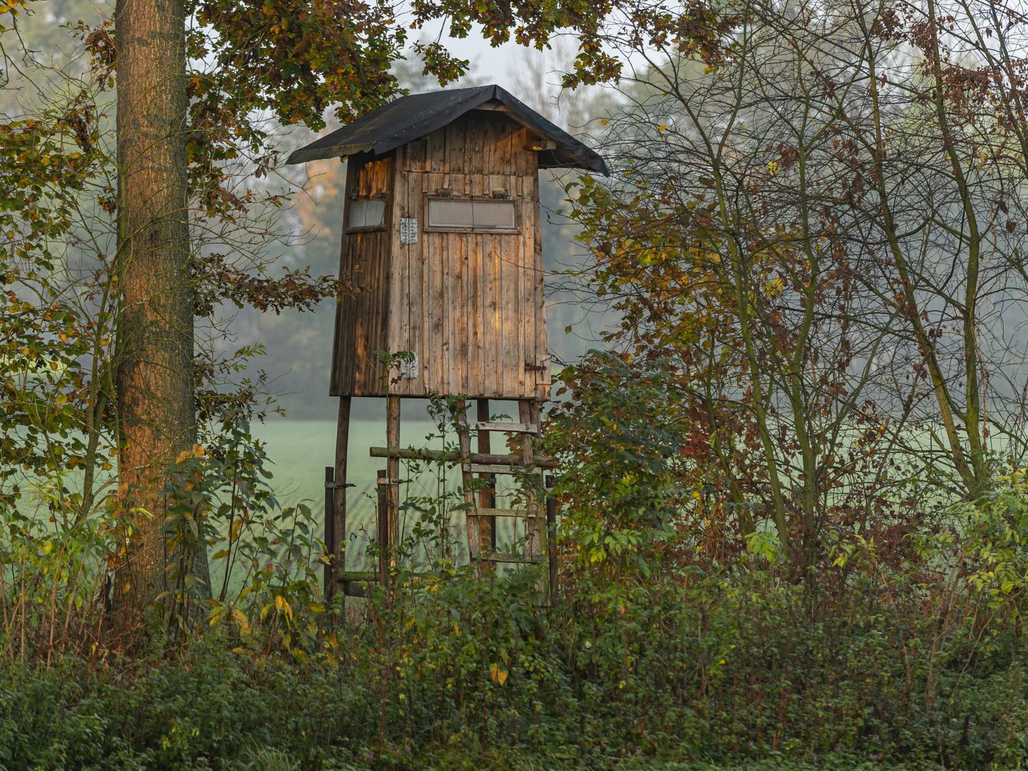 Mit der Digitalisierung der Gebiete soll das Jagd- und Wildtiermanagement „smart und effizient“ werden.