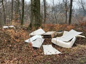Mühl im Wald