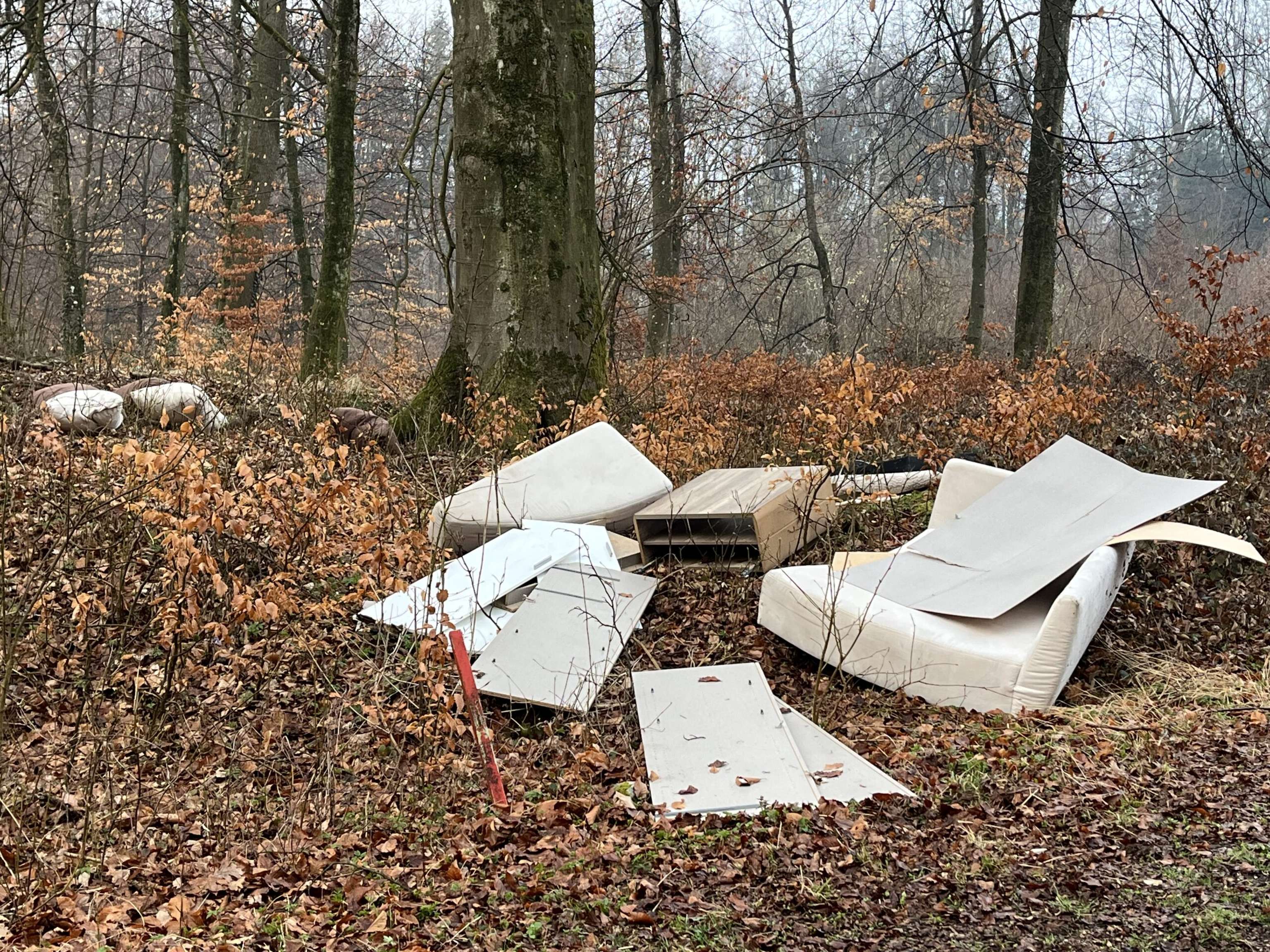 Mühl im Wald