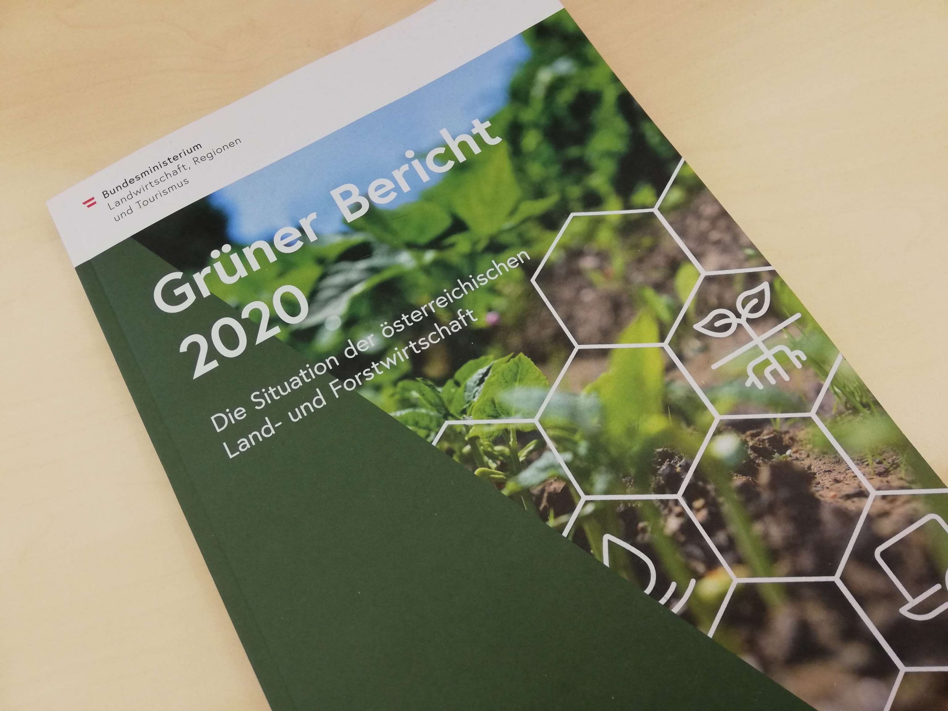 Grüner Bericht 2020