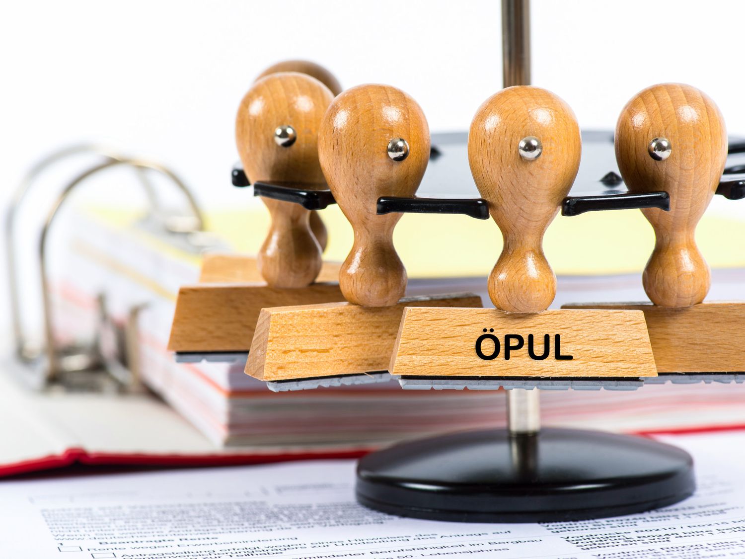 OePUL-scaled.jpg