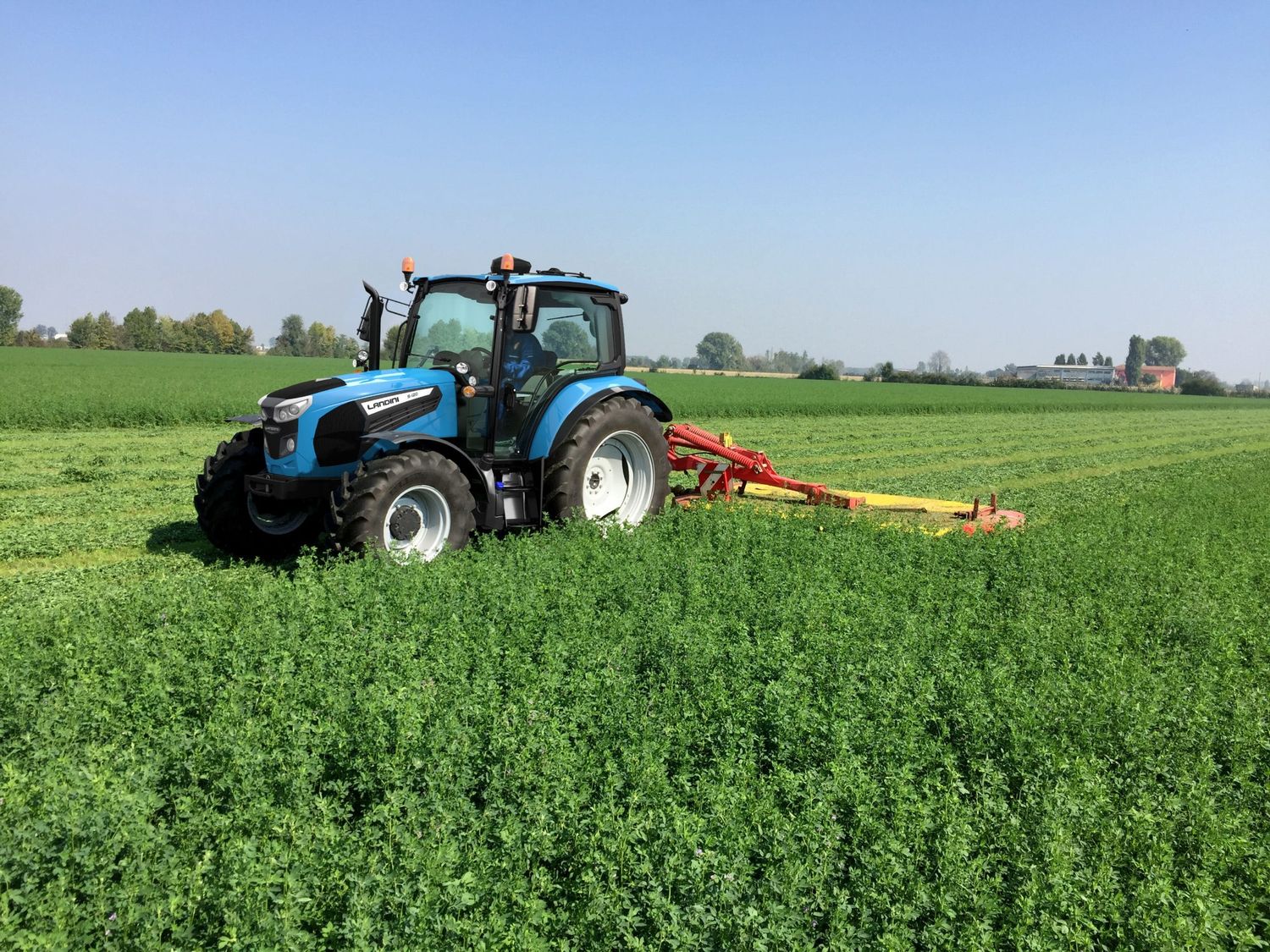 Landini