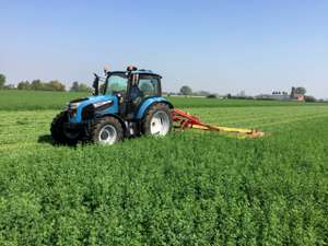 Landini