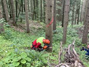 Ative Waldbewirtschaftung Durch Waldbesitzer LKOÖ