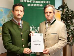 Nemecek und Schmuckenschlager