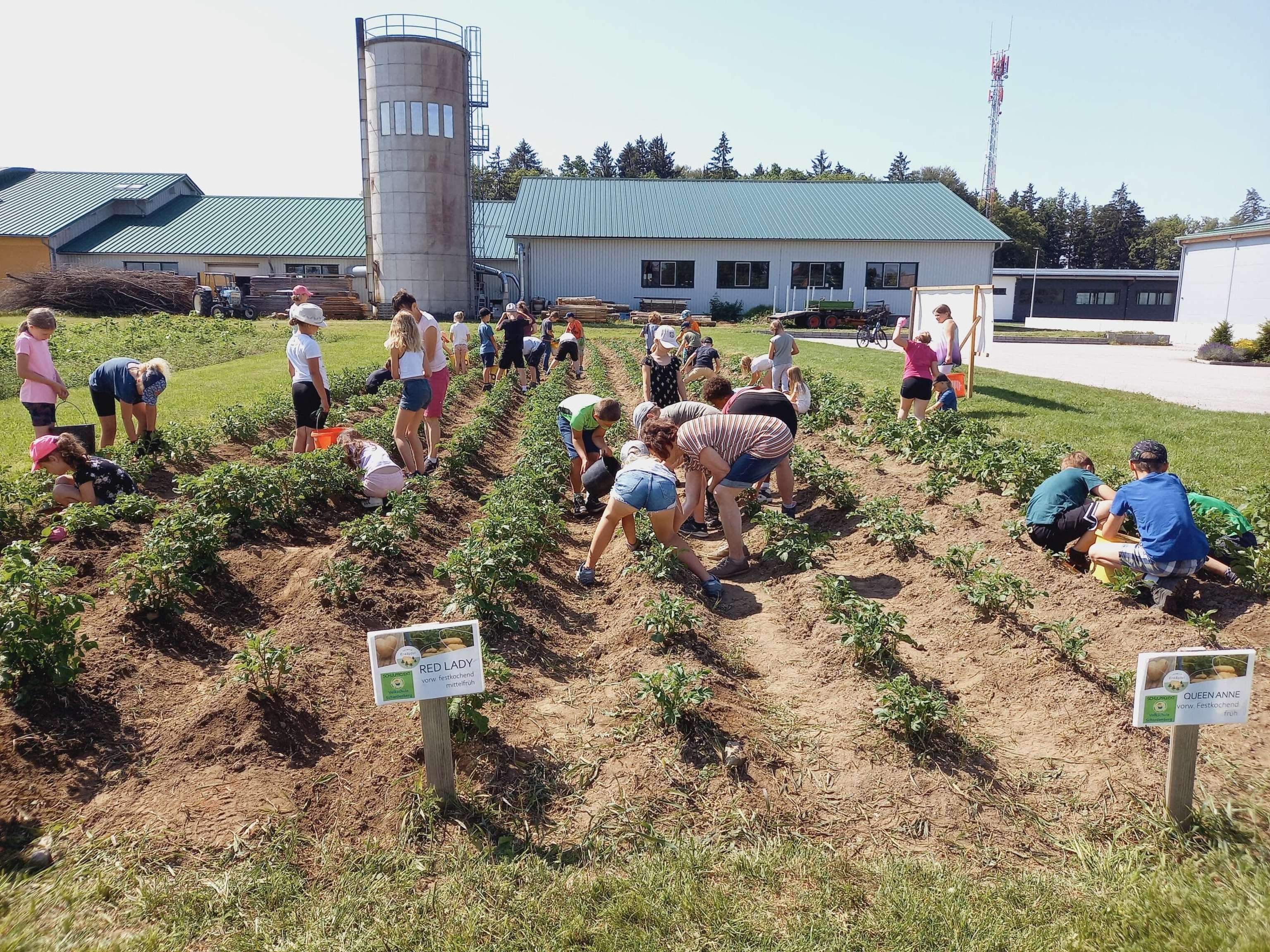 Praxisunterricht, wie er im Buche steht: Nicht nur zuschauen, sondern selbst anpacken lautete die Devise.