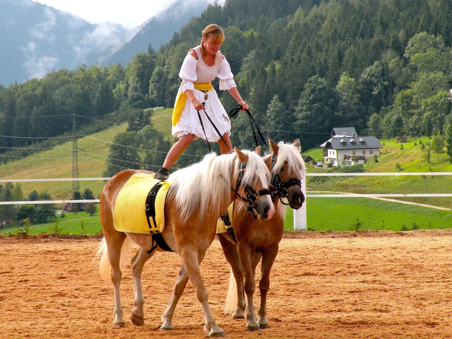Akrobatik mit Haflingern FOTO: ZVG