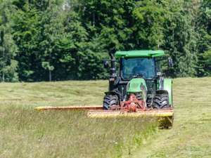 1.Schnitt Dauerwiese 1 ID95807