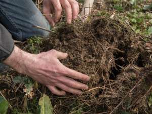 Spatenprobe Bioackerbau 1 ID82781