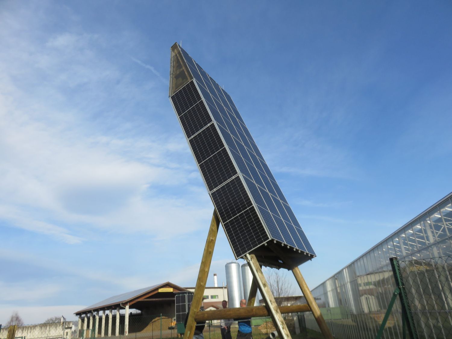 Photovoltaik-Pappel in Mureck