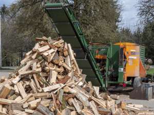 Holz