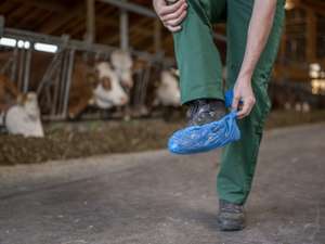 Stallhygiene Kleidung 13 ID98862