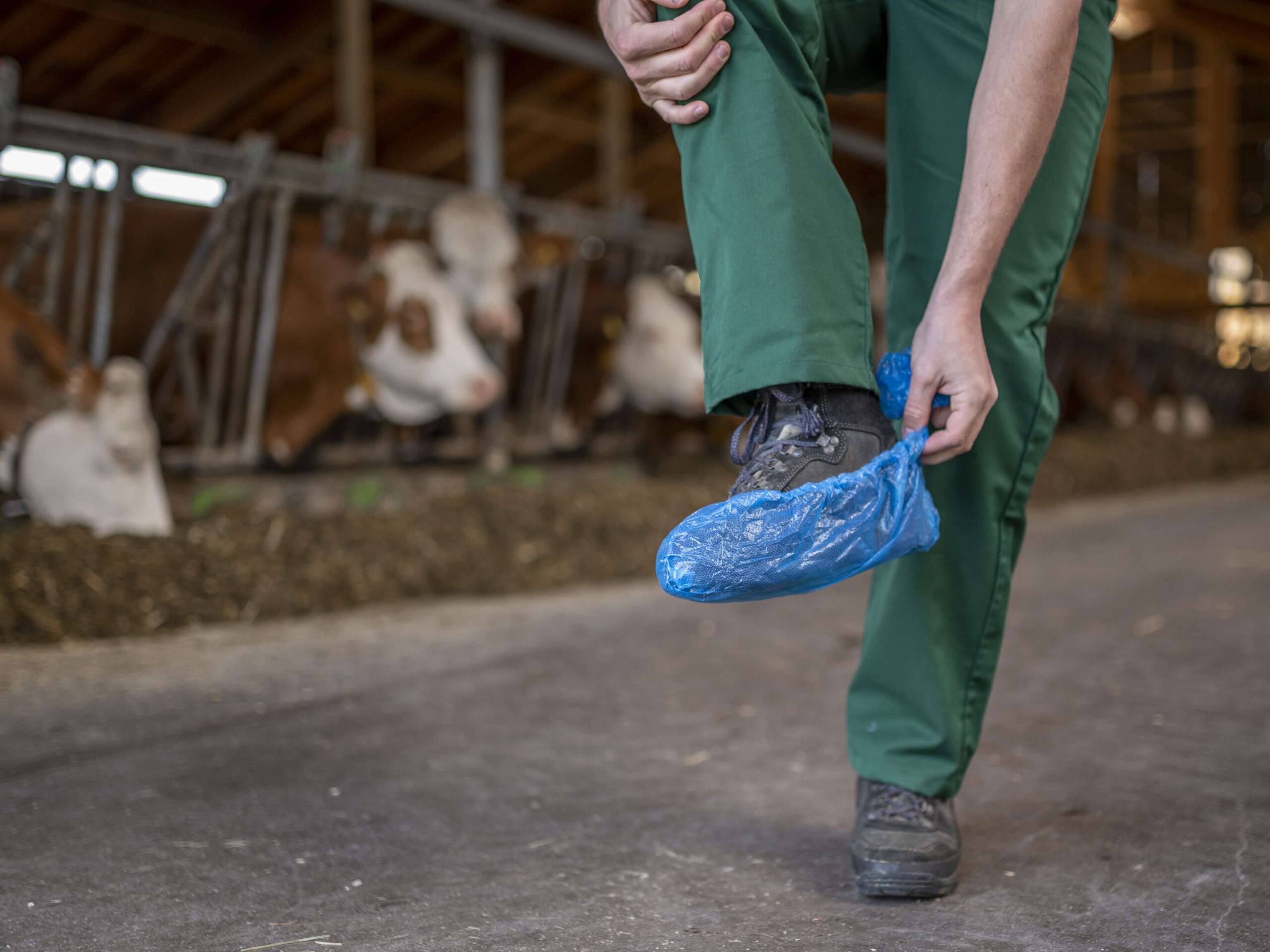 Stallhygiene Kleidung 13 ID98862