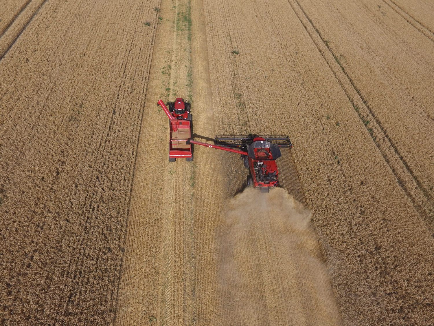 CTF auf der AgroVation-Farm: Sowohl der Traktor mit Überladewagen als auch der Mähdrescher fahren auf einer fixen Spur.