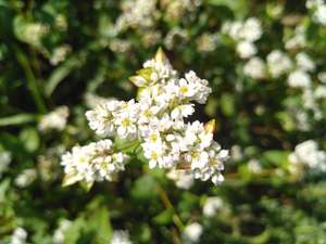 IMG_20220909_103113-scaled.jpg