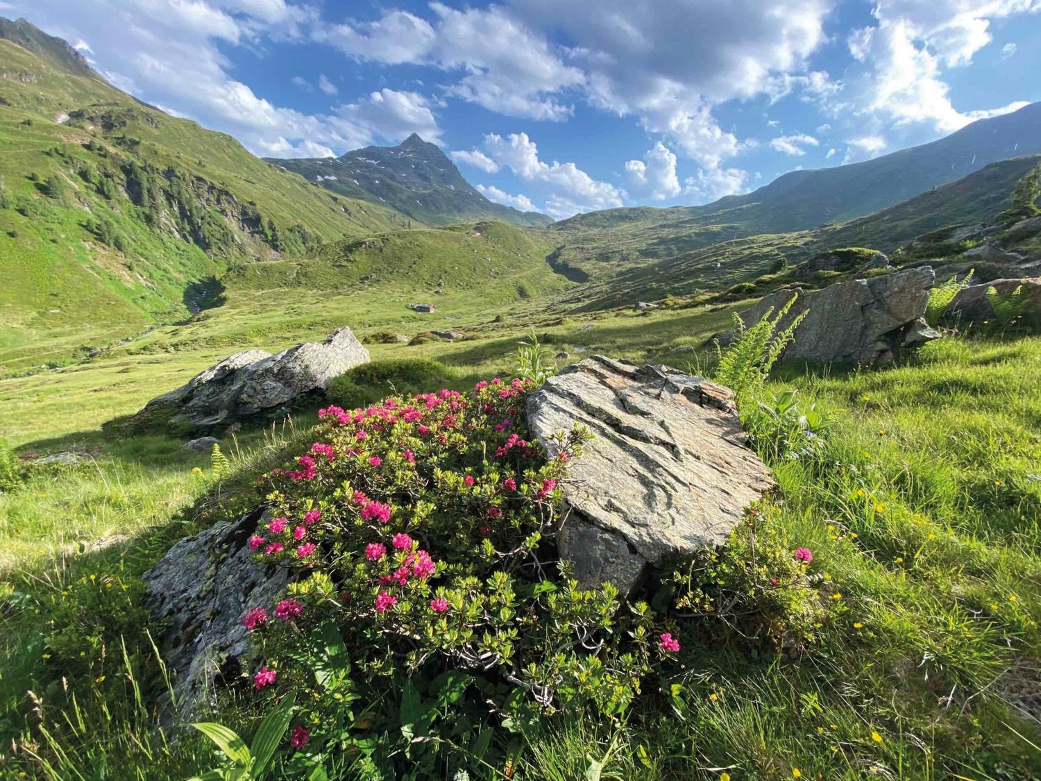 Die Kelchsau in Tirol steht am 26. Oktober zur Wahl, wenn es um den schönsten Ort in Österreich geht. Foto: ORF/ORF-T.