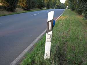 Leitpfosten mit Wildreflektor