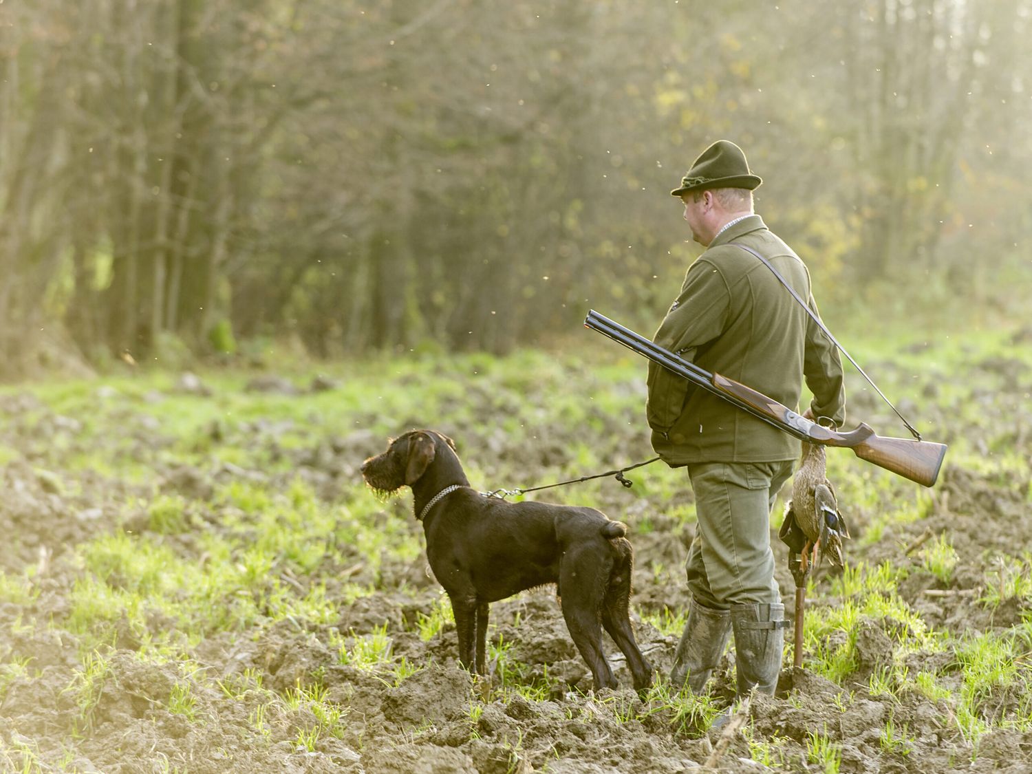 Mit neuer Technik will das Land Kärnten der Jägerschaft die Regulierung von Schwarzwild und kleinen Beutegreifern erleichtern.