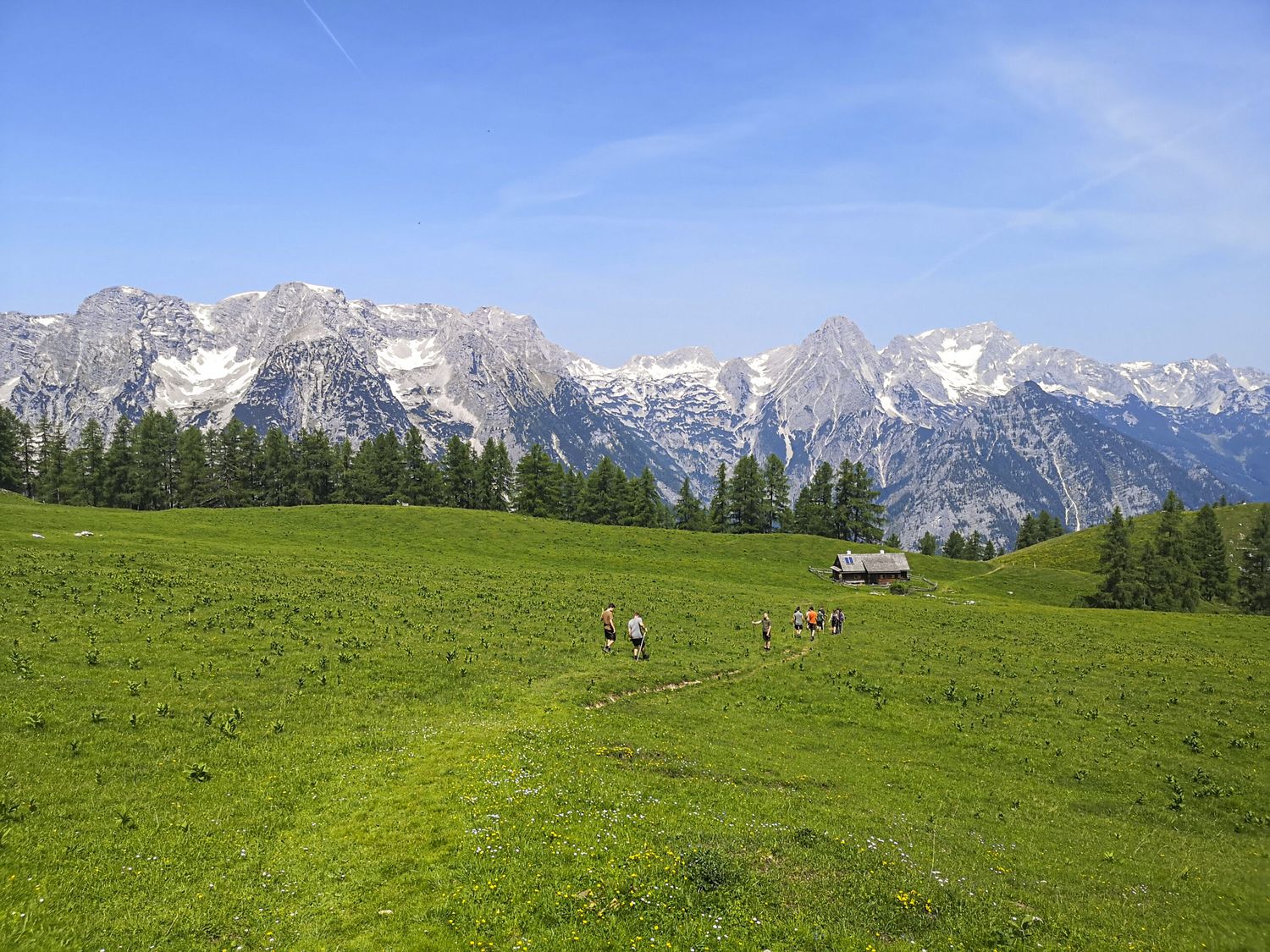 Almauftrieb