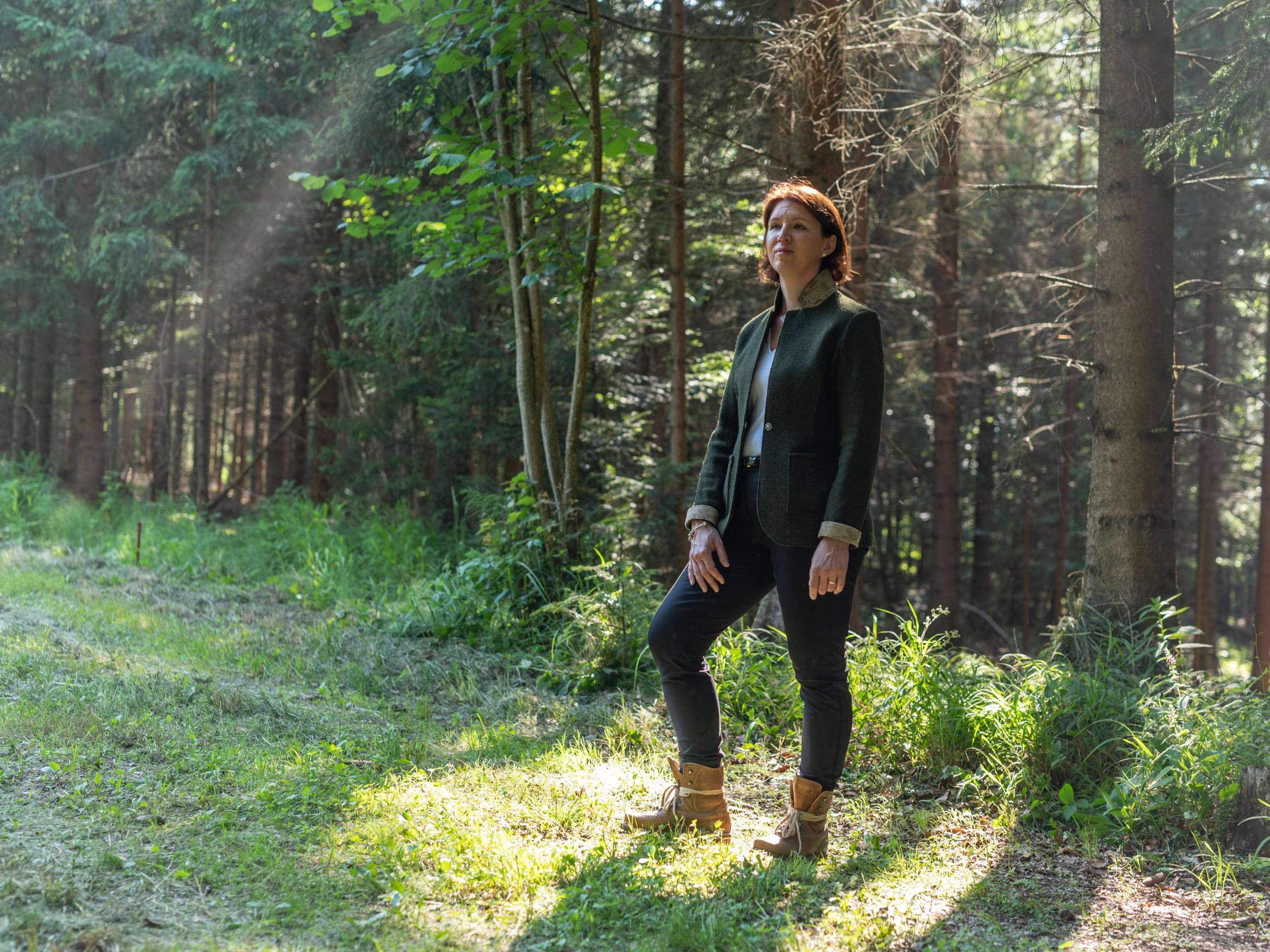 Langer Weninger Im Wald LK OÖ