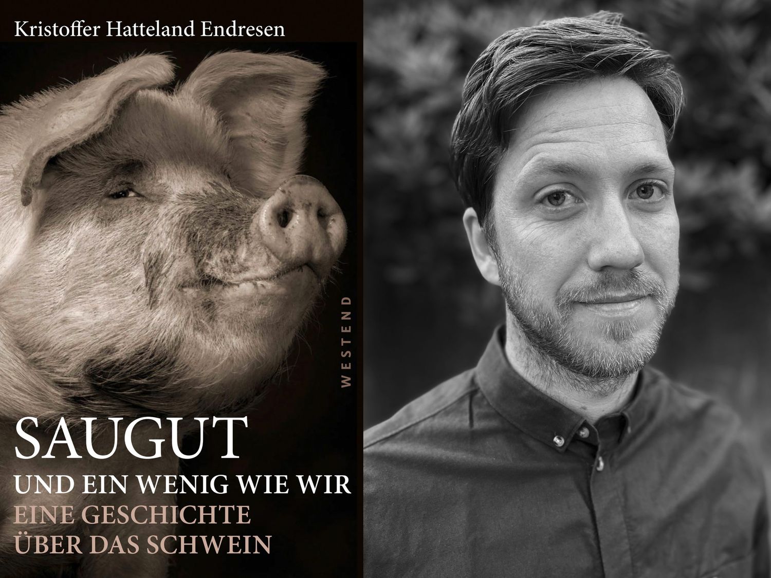 Kristoffer Hatteland Endresen, Verlag Westend, 272 Seiten, 24 Euro (E-Book 18,99 Euro). ISBN: 978-3-86489-357-5