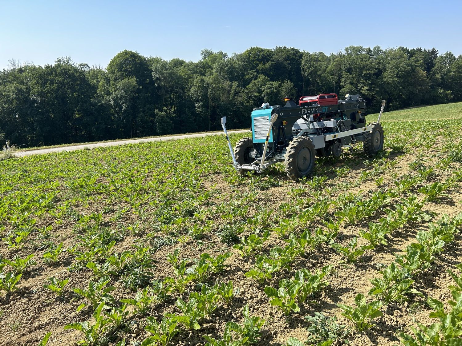 Beikräuter effektiv zu bekämpfen wird für landwirtschaftliche Betriebe immer herausfordernder.