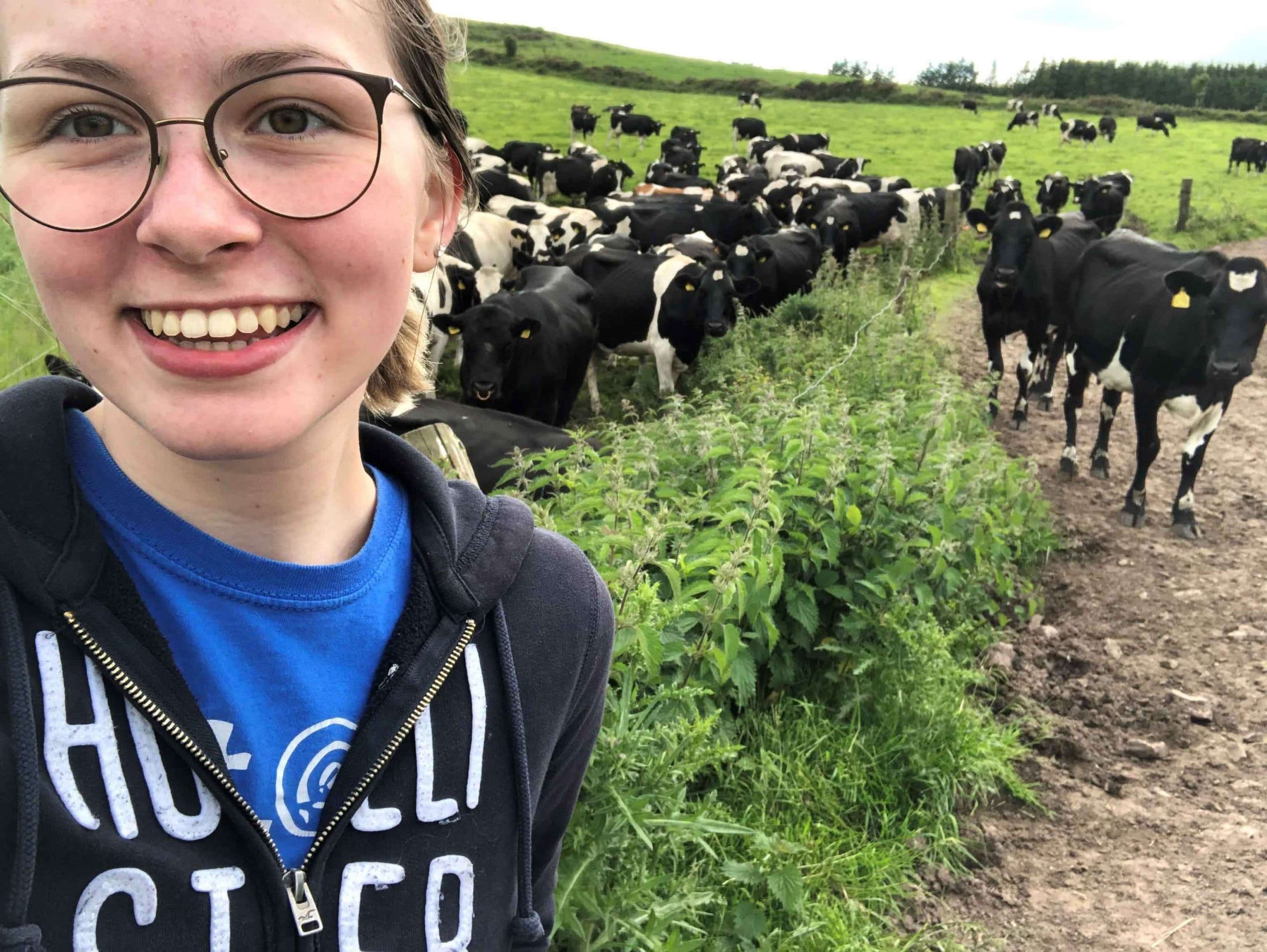 Praktikum in Irland: Cornelia Weirer bei ihrer täglichen Arbeit mit den Kühen