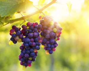 AdobeStock_216174779-scaled.jpeg