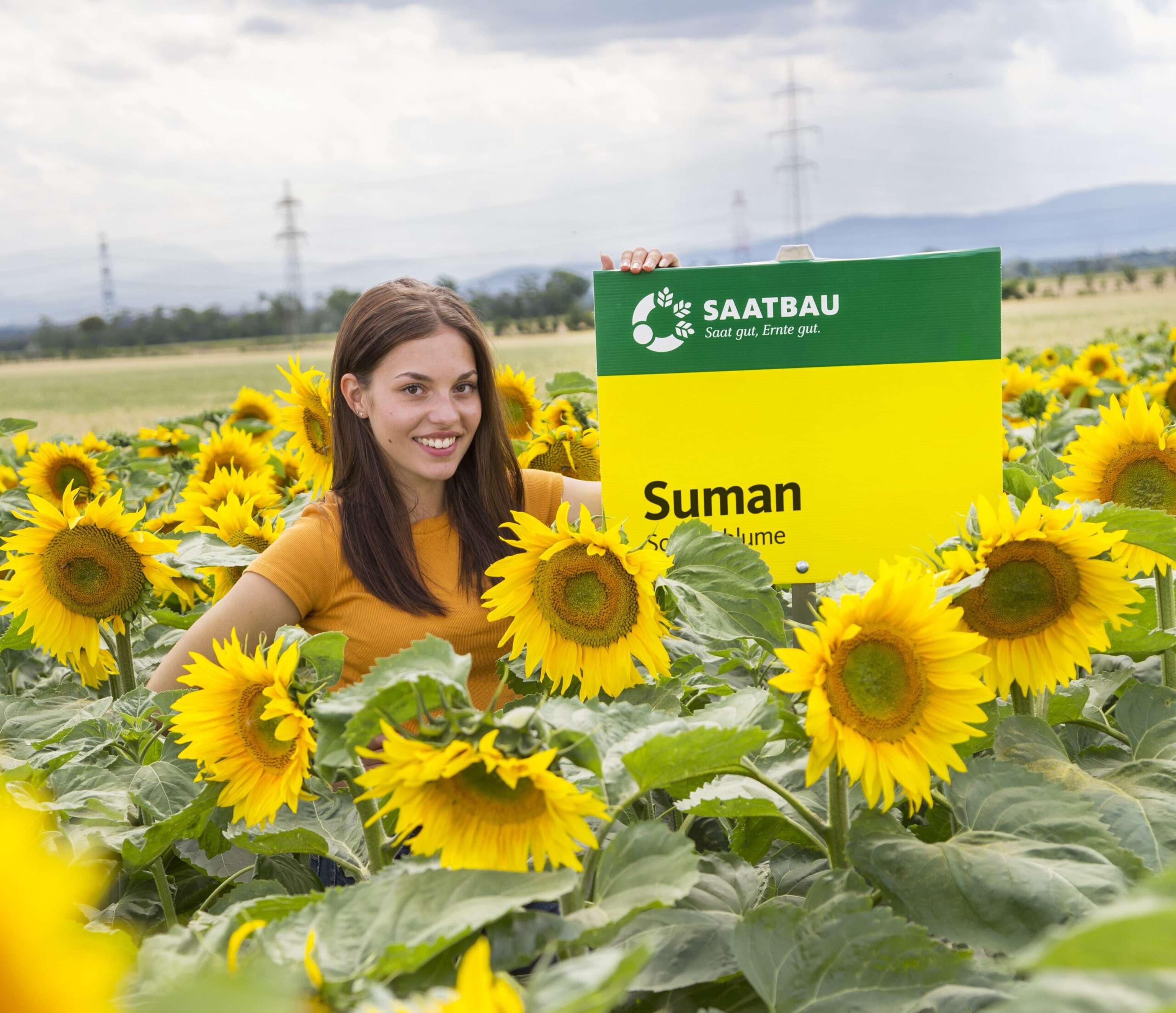 Die Ölsonnenblume Suman weiß zu überzeugen.