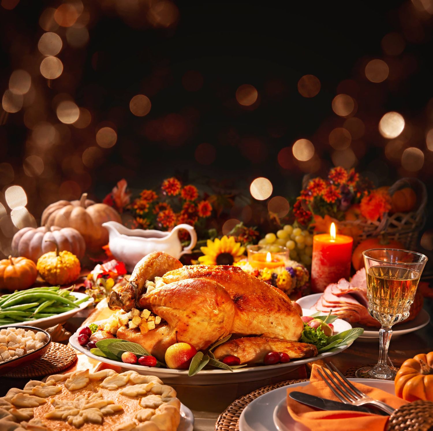 Thanksgiving Turkey Dinner