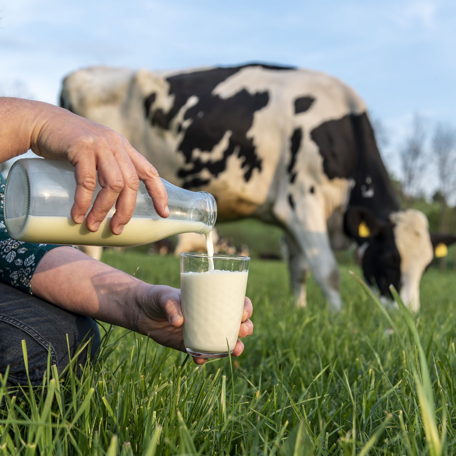 Der 1. Juni ist der Tag der Milch.