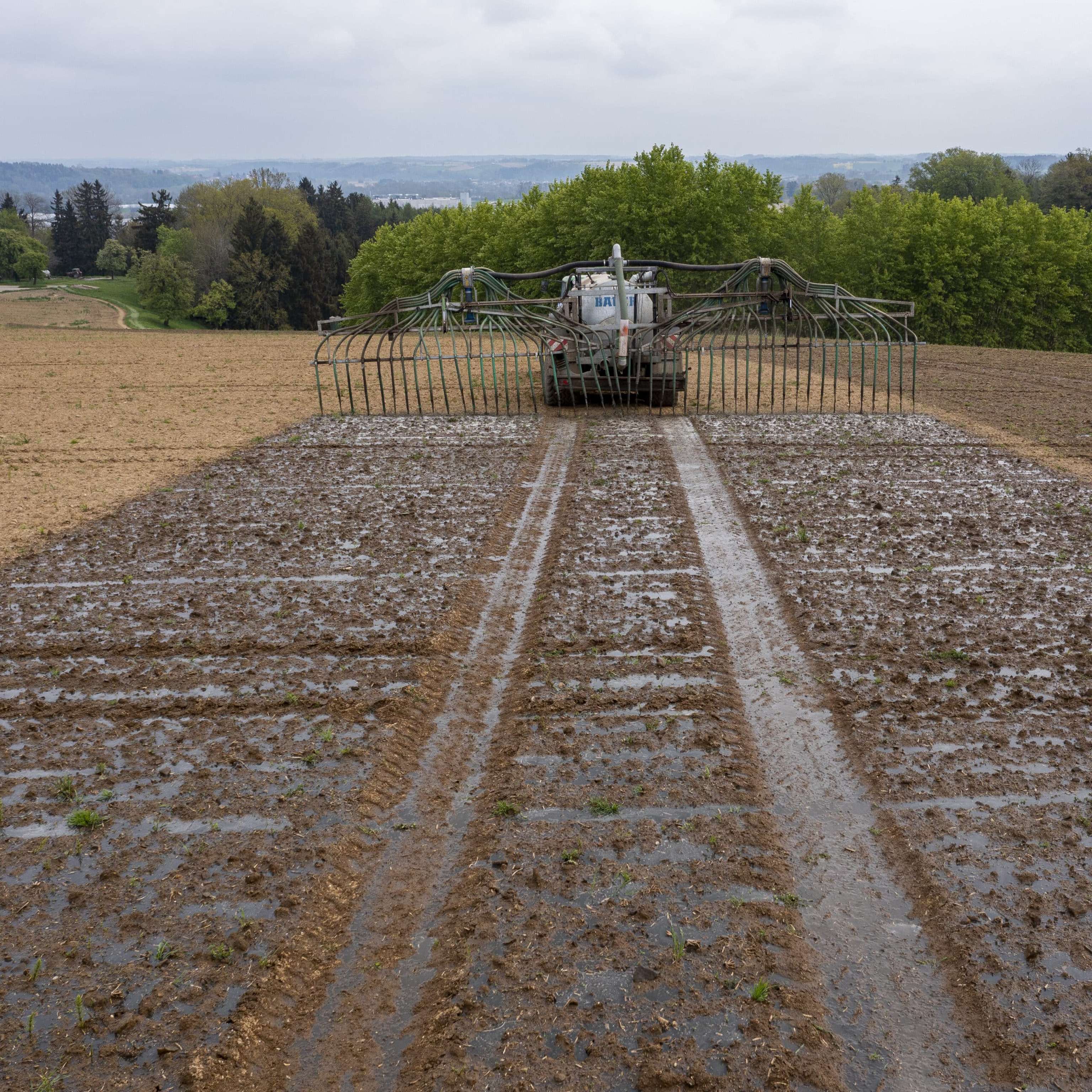 Guelle Vor Maisanbau 10 ID97513