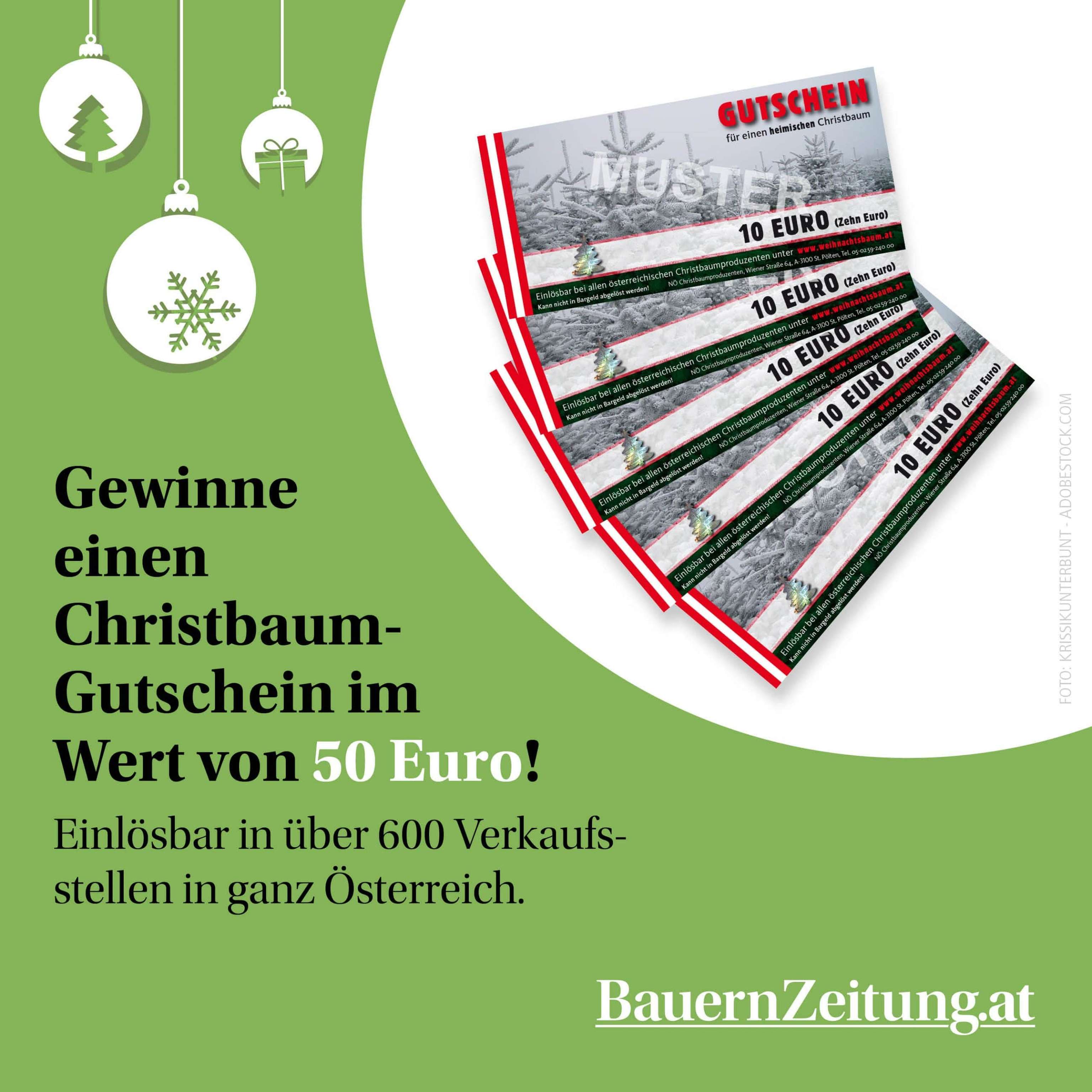 Christbaum-Gutscheine im Wert von je 50 Euro zu gewinnen.