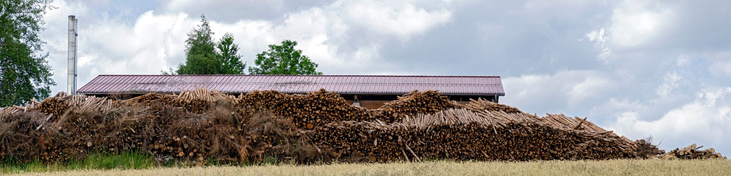 Heizwerke sind nach dem milden Winter bestens mit Energieholz bevorratet. Verkäufe außerhalb bestehender Lieferverträge gestalten sich schwierig.