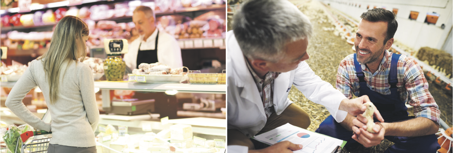 Bei der Versorgung mit Lebensmitteln ist in Österreich weltweit führend. Hohe Qualität und Sicherheit der (Agrar-)Produkte sind unbestritten.
FOTO: Foto: Minerva Studio &#8211; stock.adobe.com