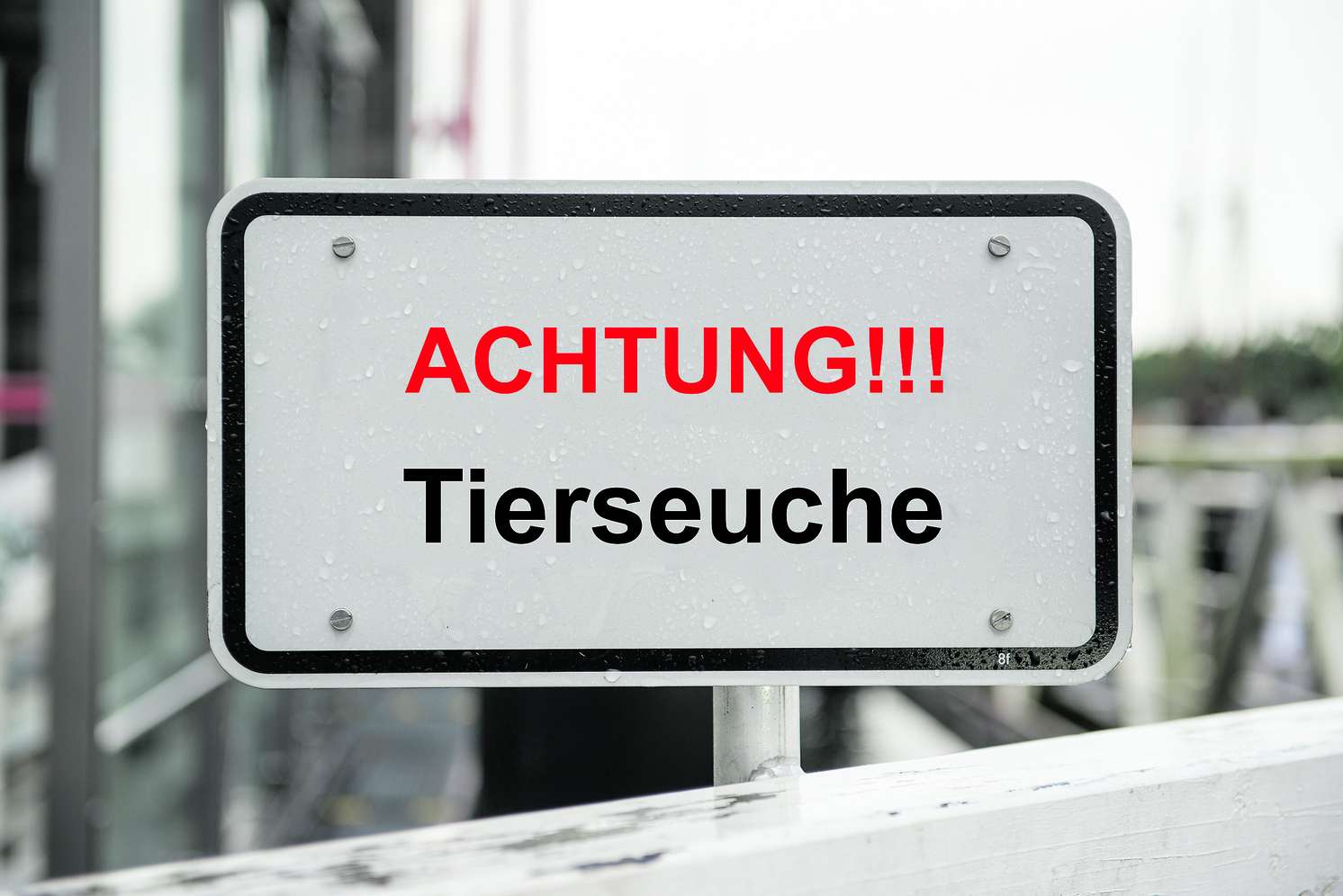 Schild mit der Aufschrift: Achtung Tierseuche
