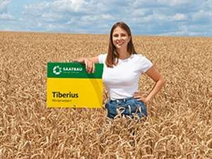 KW37_tiberius_picture-ad_woche4.jpg