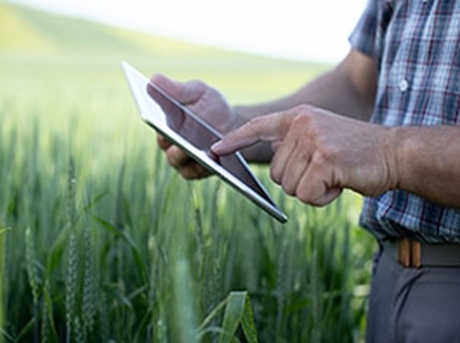 BZ_Onfarming_Picture_Ad_265x195.jpg