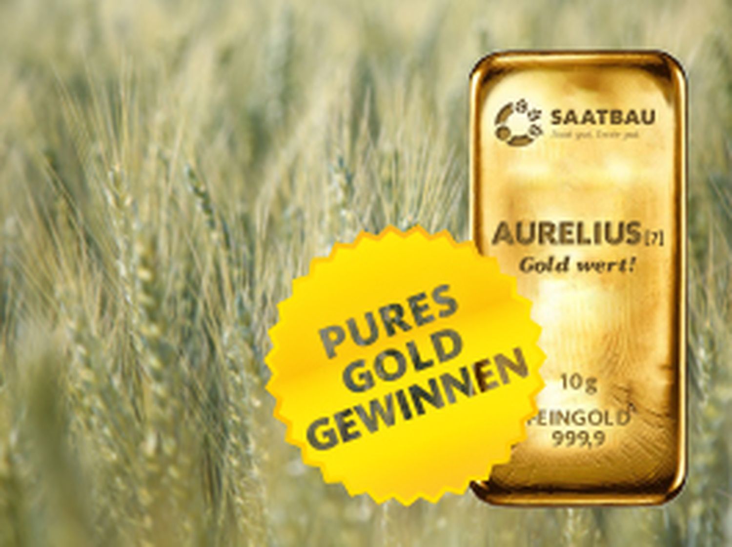 KW34_aurelius_picture-ad_woche1.jpg