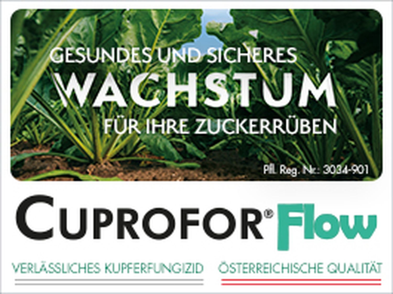Cuprofor_DisplayBanner_Ruebenbau_PictureAd-Bauernzeitung_265x198px.jpg