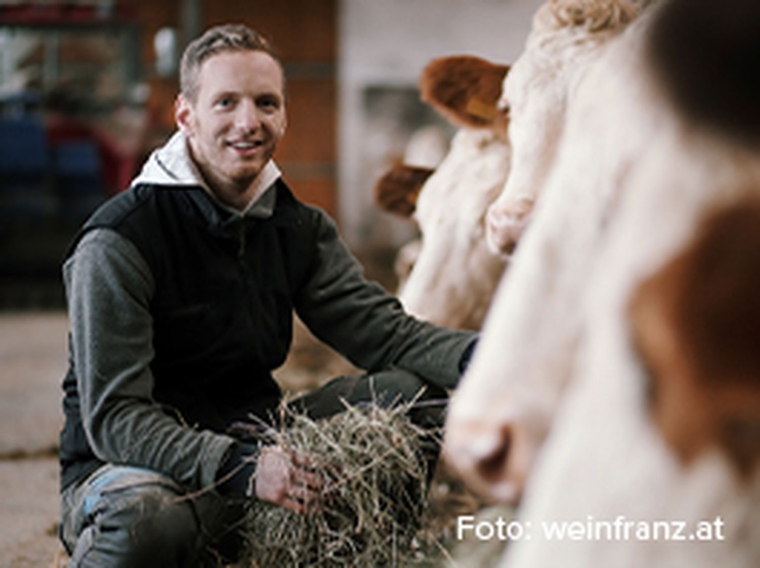 picture-ad-265x198px-wm-landwirtschaft.jpg
